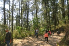 Visitors at Sierra Chincua.