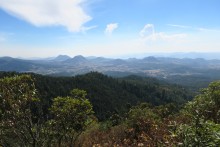 Sierra Chincua Sanctuary