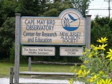 Cape May Bird Observatory