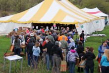 2022 Native Plant Sale Under the Big Tent