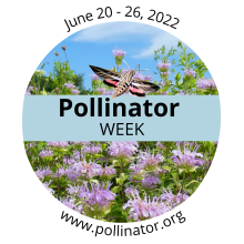 Pollinator Week logo