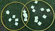 Hula hoop used to compare and contrast characteristics of moths and butterflies 