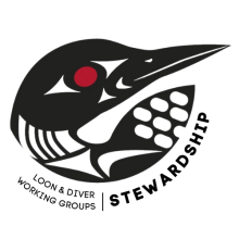 Loon & Diver Stewardship Working Group 