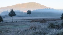 frost across the plain