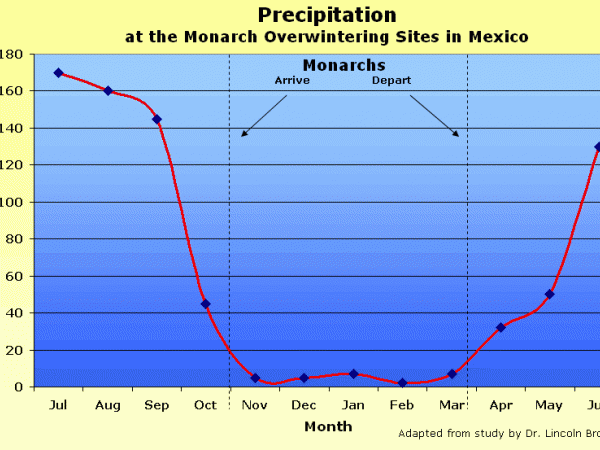 Graph showing precipitation at monarch butterfly sanctuary in Mexico