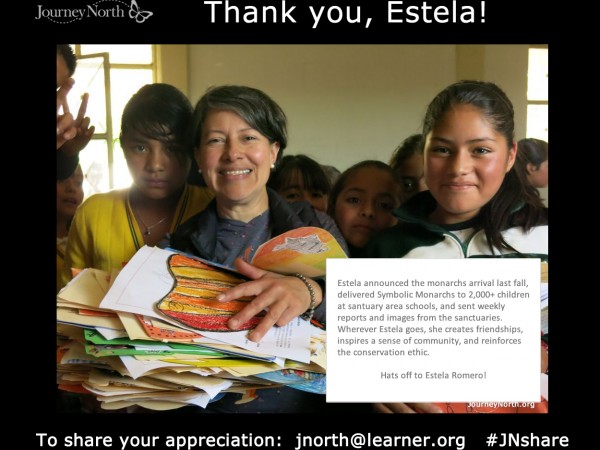 Journal: Thank you, Estela!