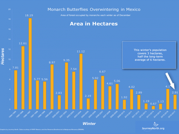 Graph showing population of monarch butterfly sanctuaries in Mexico