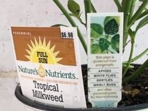 Plant tags display no neonicotinoids
