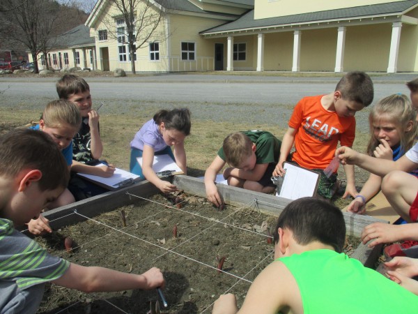 Photo of students and emerging tulips 
