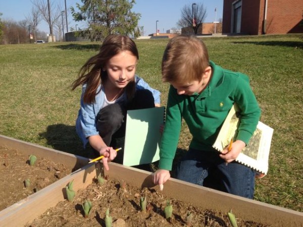 Photo of children examining the garden