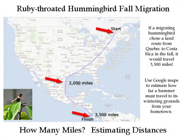 Infographic: Estimating Distances
