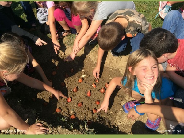Image of students planting bulbs and message for free bulbs