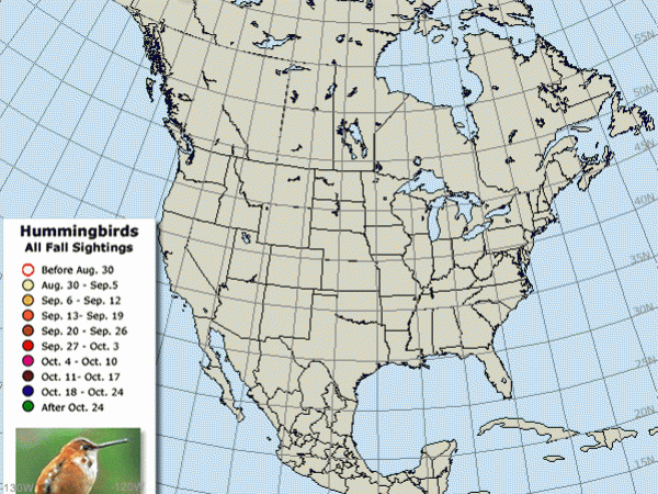 Image of hummingbird migration map.