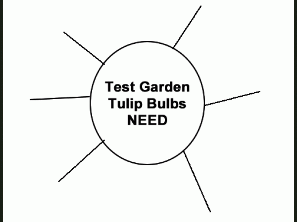 Graphic web organizer for needs for tulips