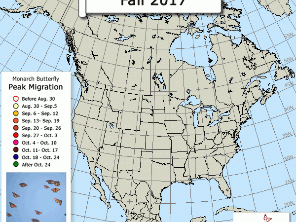 Map of peak monarch butterfly migration for Fall 2017