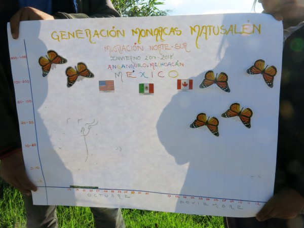Children in Mexico Monitoring the Monarch's Arrival