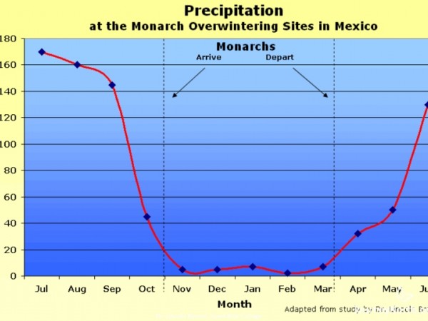 Graph: Precipitation at the Monarch Sanctuaries in Mexico