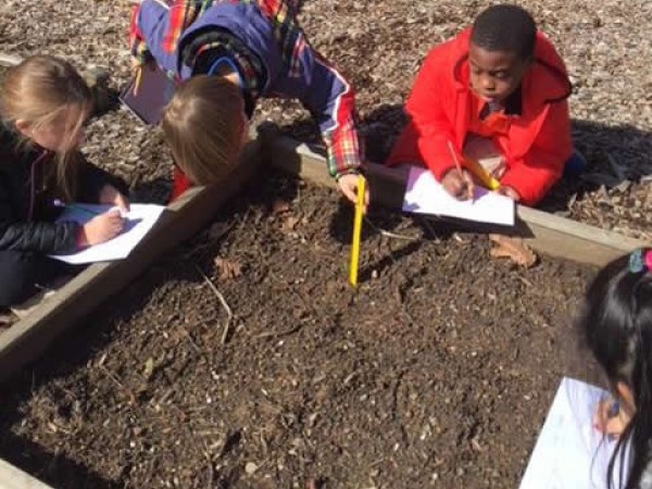 Working to gather data in the garden