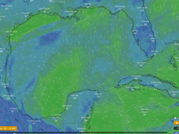 View of winds across the Gulf of Mexico