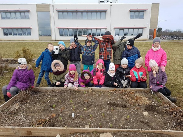 Students in Estonia celebrating emerged tulips
