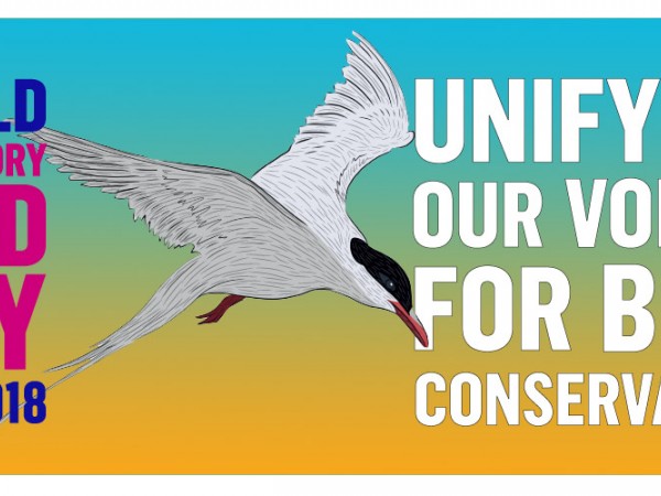 World Migratory Bird Day Image by UNEP/CMS Secretariat and UNEP/AEWA Secretariat 
