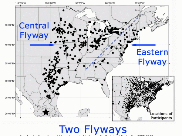 Monarch Butterfly Migration Map: Two Fall Migration Flyways