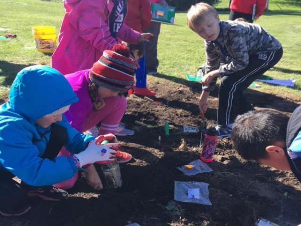 Students Planting Journey North Tulip Garden by Marta Knick