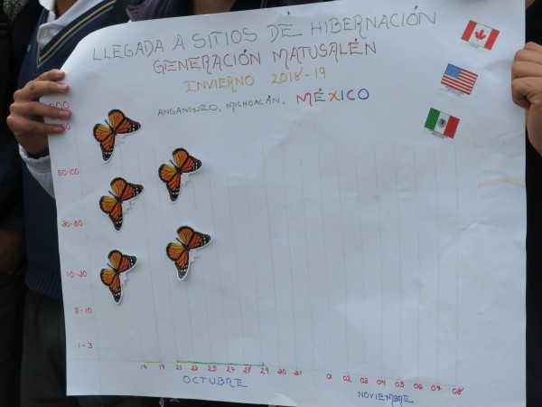 Monitoring the Monarch's Arrival in Mexico