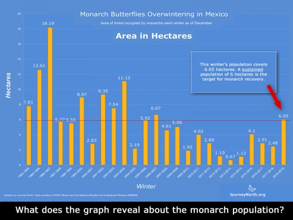 Monarch Population