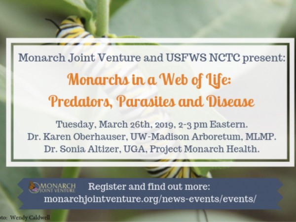 Webinar: Monarchs in a Web of Life