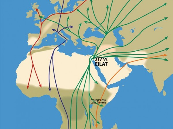 Map of European, Asian and Middle Eastern Migration Routes