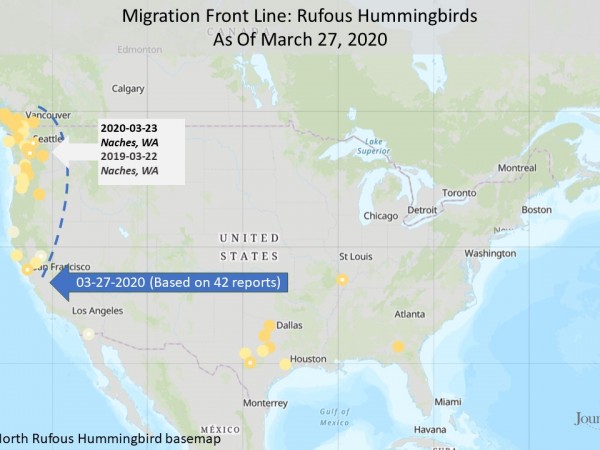 Rufous hummingbird Map