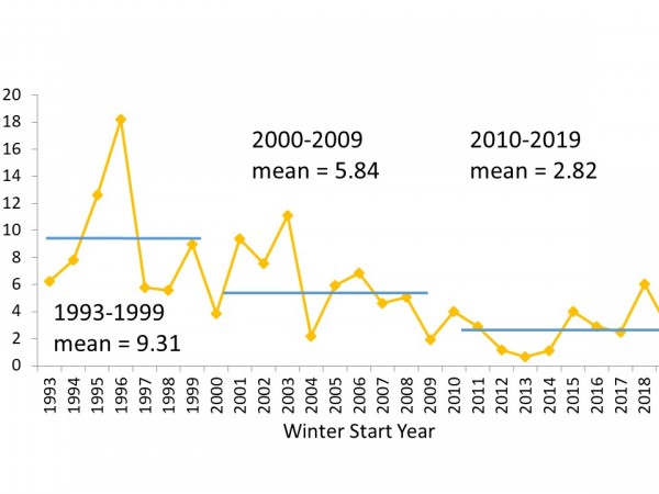 winter numbers graphic
