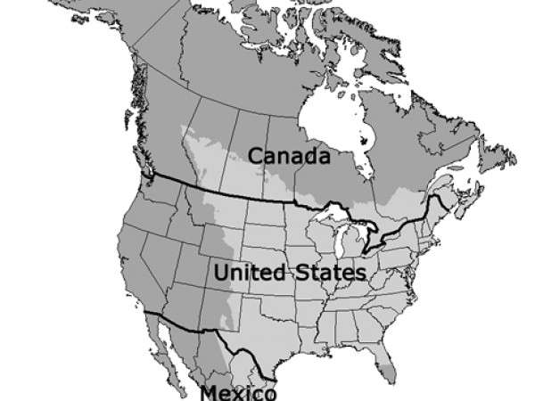 north american political boundaries crossed by monarchs
