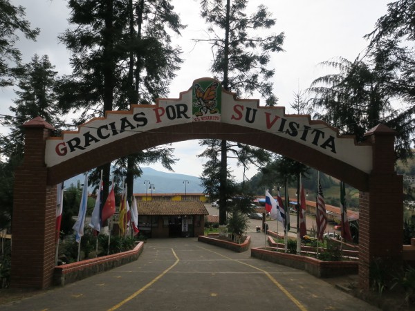 Sierra Chincua Sanctuary