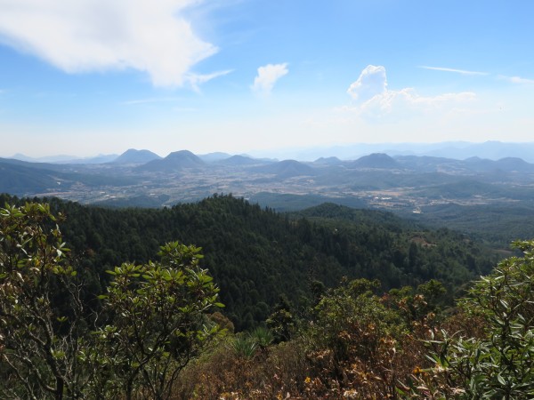 Sierra Chincua Sanctuary
