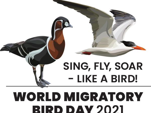 World Migratory Bird Day 2021 logo