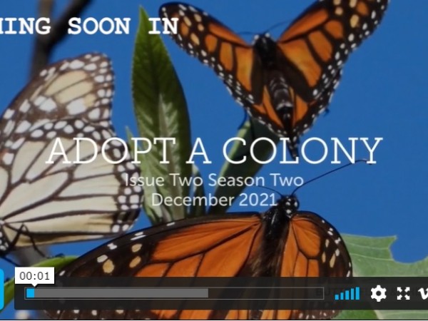 Adopt a Colony video screenshot
