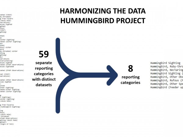 Hummingbird data
