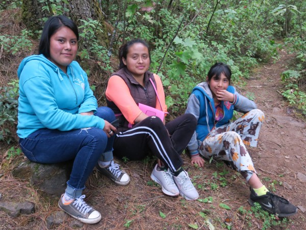Visitors at Sierra Chincua.
