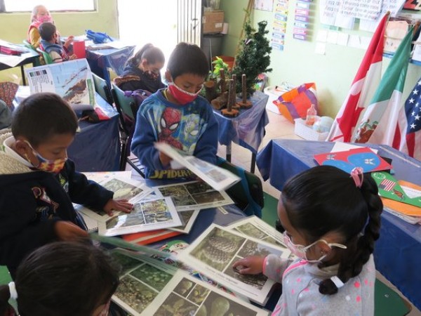 Students in Mexico learning about native trees