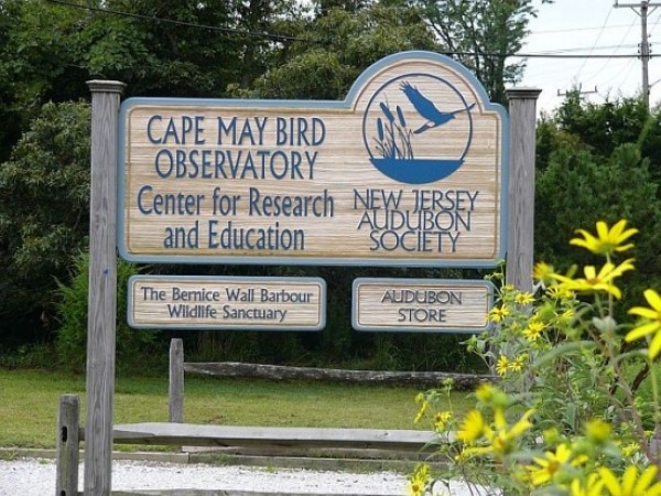New Jersey Audubon Cap May Bird Observatory sign