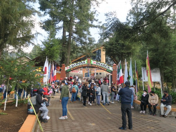 Visitors at monarch sanctuaries in Mexico