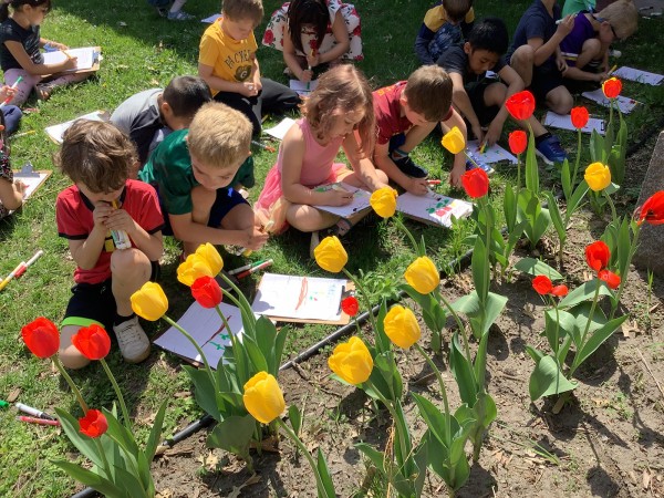 Students observing blooming tulips 