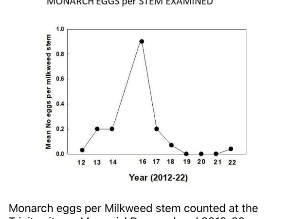 Graph of monarch eggs at Trinity River