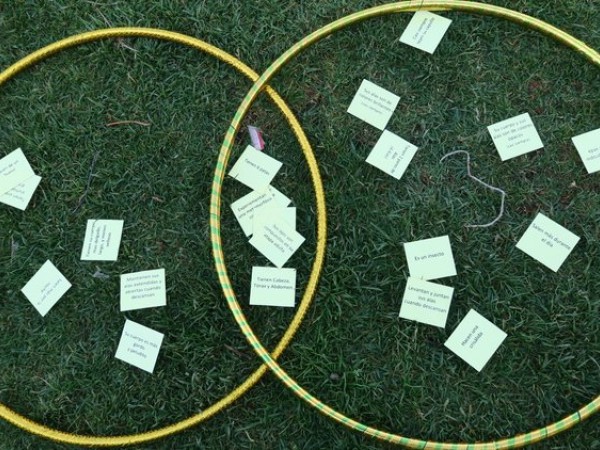 Hula hoop used to compare and contrast characteristics of moths and butterflies 