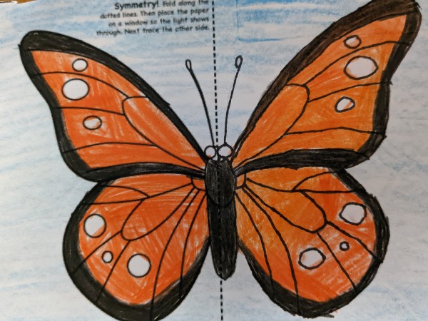 Symbolic Migration Ambassador Butterfly