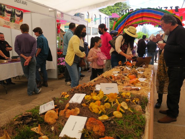 many products from the forest are sold in the local market