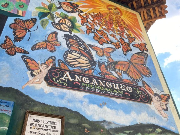 Mural with monarchs and mountain sanctuary
