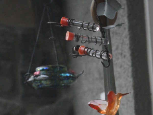 Ruby throated hummingbird at feeder